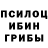 Псилоцибиновые грибы Cubensis Sonya Agafonova