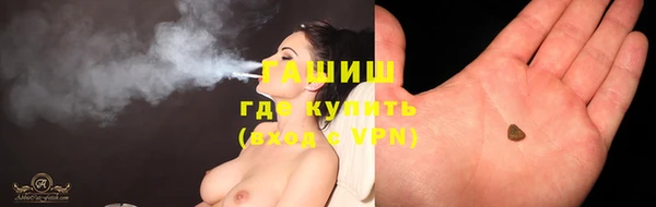 гашик Алексин