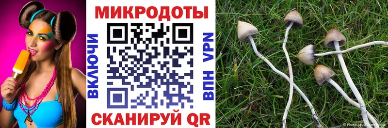 Галлюциногенные грибы Magic Shrooms  Новое Девяткино 
